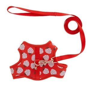 Strawberry Cat Leash & Harness Combo (Whisker City)